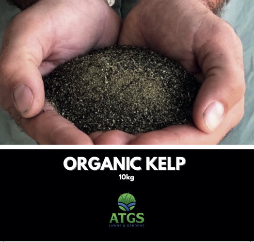 Screenshot 2026-04-12 at 6.14.15 PM